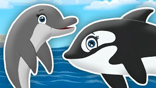 what sound do i make ocean animal sounds songs kids learning videos