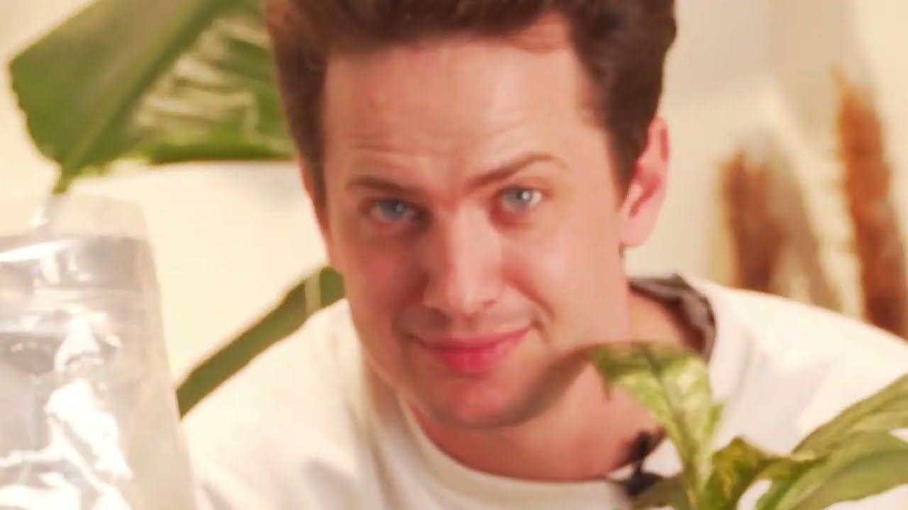 How to repot a Peace Lily