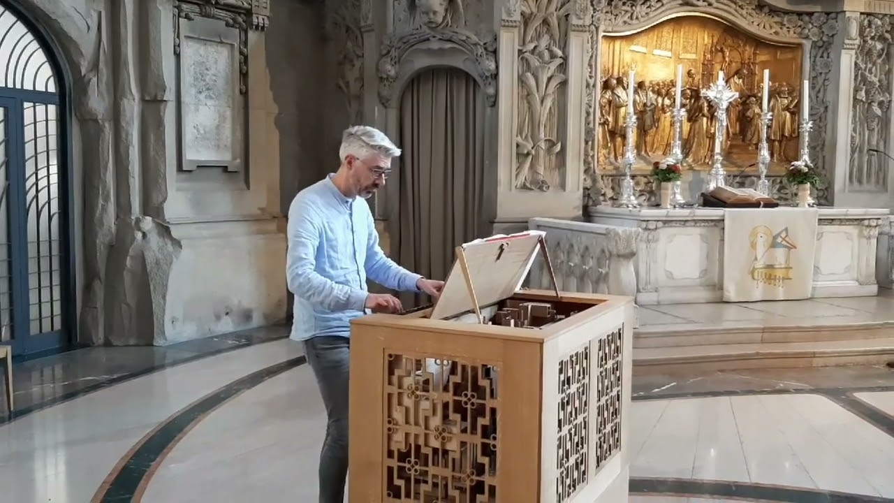 Dresden, Kreuzkirche, Rohlf-Truhenorgel auf der Chorempore