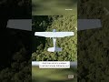 Woman Survives Plane Crash That Killed Her Mother #shorts