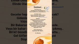 Üzülme Dert Etme Cangörebiliyorsan, Dokunabiliyorsan, Ne Mutlu Sana