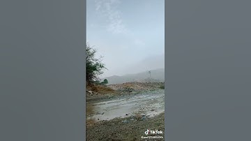 ما تيسر من القرآن الكريم #اكسبلور #المصحف #المصحف #لايك #الرحمن #القزابري #دويتو