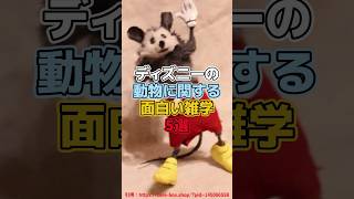 ディズニーの動物に関する面白い雑学5選【ディズニー雑学】#ディズニー #disney #トリビア #雑学 #ディズニーランド #ディズニーシー