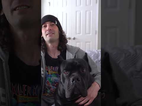 Video: Viis haruldast Ameerika koeratõugu