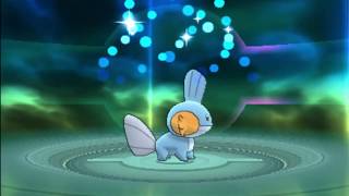 Let's Play Pokemon Omega Ruby Mudkip to Marshtomp Evolution