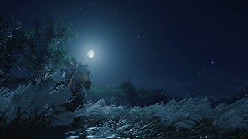 Ghost of Tsushima Walkthrough Gameplay Part 7: Saving Taka