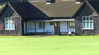 Panasonic Lumix Dmc-Fz200 Test Video With Optical Zoom