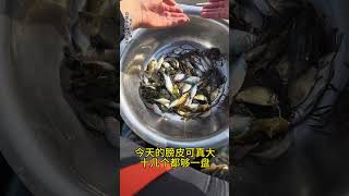 Big Mandarin Fish & Black Fish Hunt: Time to Reopen the Catch