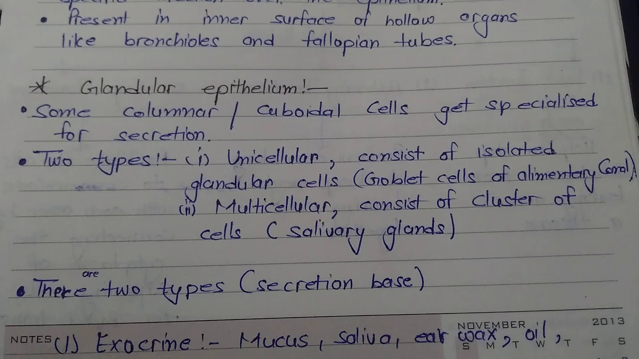 NCERT Biology notes # Chapter-7# Structural Organisation In Animals# Class  11# Part-1. - YouTube