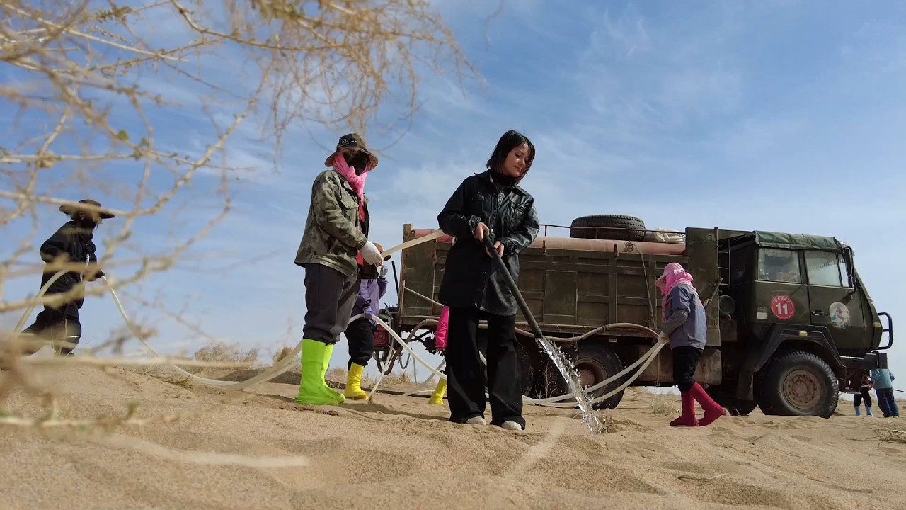 Green promise in yellow sand: Chinese volunteers planting a green future in desert