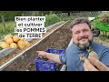 Comment bien planter et cultiver les pommes de terre tuto