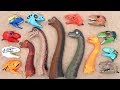 Surprise Dinosaur Heads! 5 Brachiosaurus And 10 Lego Dinosaur Head. Dino Toys For Kids 혼종 공룡