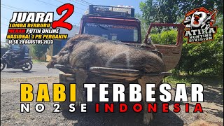 TUMBANGNYA BABI TERBESAR NO 2 SE INDONESIA | LOMBA BERBURU MERAH PUTIH ONLINE NASIONAL 1 PB PERBAKIN