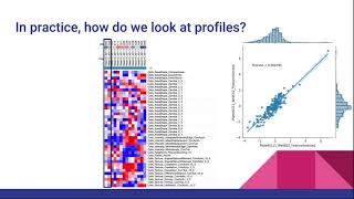 The beginner's guide to morphological profiling (Morphological profiling, part 1)