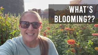 My Cut Flower Garden Is Still Blooming! 🌸 End of Summer Garden Tour