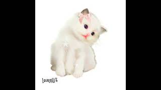 Stopban, Шайни - Gdagdegdagdagdo (Speed Songs) Resimi