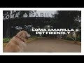 Loma Amarilla / Surco - PET FRIENDLY