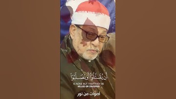 عندما يبدع سلطان القراء الشيخ سيد سعيد تلاوه تفوق  الوصف
