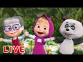 🔴NA ŻYWO 🤗 Piękne początki 😀 Masza i Niedźwiedź 🤪 Masha and the Bear LIVE