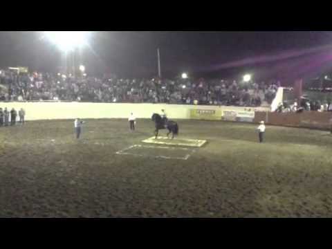CABALLO EL MUCHACHO ALEGRE SEGUNDO LUGAR EXPOGAN CULIACÁN 2 camera iphone 8 plus apk