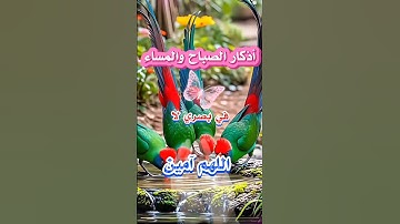 اذكار الصباح والمساء
