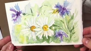Watercolour flowers/Акварель/Полевые цветы