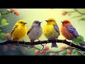Instantly reduces stress and anxiety birds singing in the forest deep healing music for the body