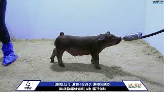 Choice En 90 1 & 90 3 Sheiss Aug 20 Sale 13 August 2024 11 41 14 Am