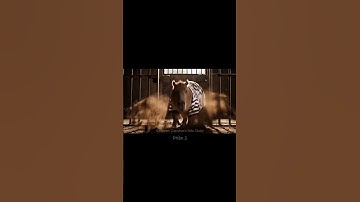 Capybara Siêu Quậy | Capy bị bắt và vượt ngục khủng khiếp P2... #capybara #viral #funny #spacemedia