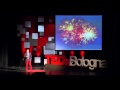 L'importanza delle reti complesse: Guido Caldarelli at TEDxBologna