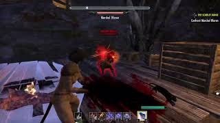 Weird Elder Scrolls Online glitch I encountered