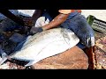 Fastest Big Trevally Fish Cutting Skills/Kasimedu Fish Market