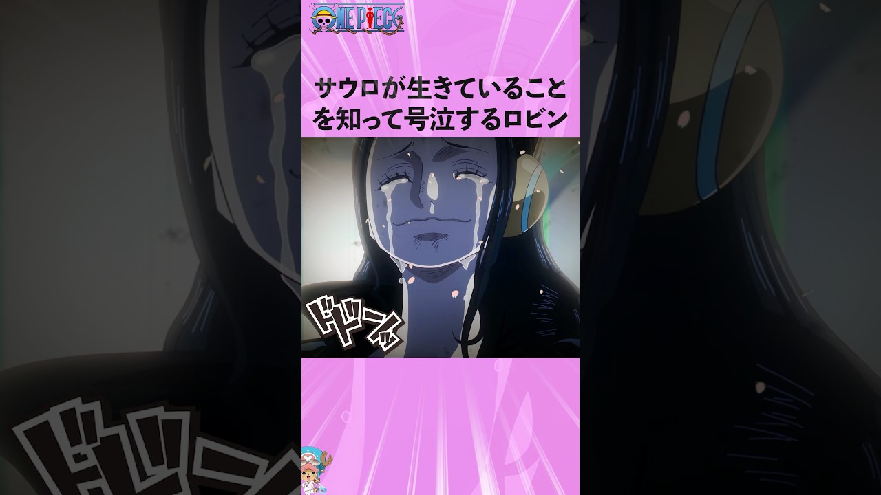 サウロが生きていることを知って号泣するロビン #onepiece #ワンピース #アニメ #雑学
