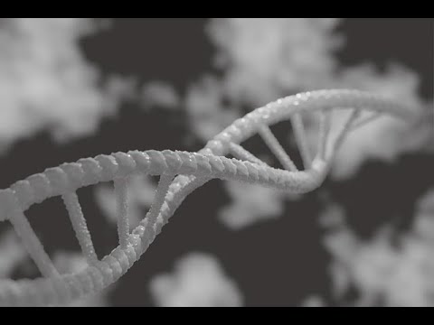 Решение генетических задач. Сцепленное наследование генов в Х-хромосоме