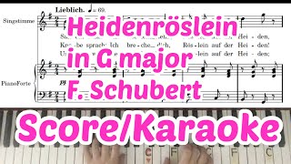Heidenröslein In G Major Karaoke Piano Accompaniment F. Schubert
