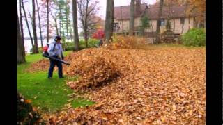 Leaf Collection, Pickup & Landscaping Service | Alpine Landscaping