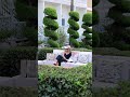 Relax in the Heart of Nature | Oz Hotels Sui Resort Alanya