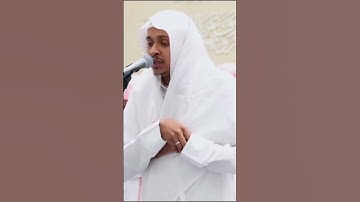 القارئ عمر #الدريويز