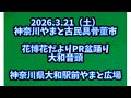 大和音頭 2026.3.21(土) 花博花だよりPR盆踊り 神奈川県大和駅前やまと広場