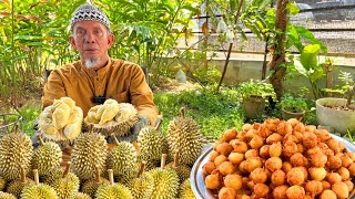 Download Lagu CUCUR DURIAN RANGUP DAN HARUM ‼️ MUSIM DURIAN DAH TIBA LAGI MP3 Download Lagu CUCUR DURIAN RANGUP DAN HARUM ‼️ MUSIM DURIAN DAH TIBA LAGI MP3