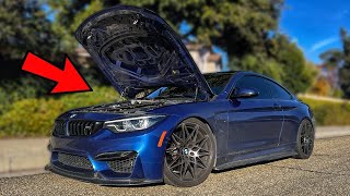 DON'T CHANGE THE OIL ON YOUR BMW M4 F82 BEFORE WATCHING THIS!