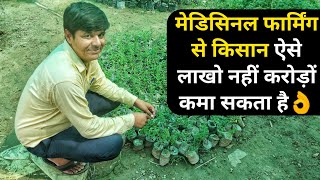 औषधीय पौधों की खेती ऐसे शुरू करें|Medicinal plant cultivation Farming in india screenshot 2