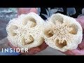 How Luffa Sponges Are Made