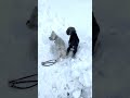 雪がうれしい日