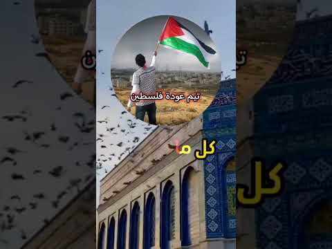 تيم عودة فلسطين تيم عودة فلسطين