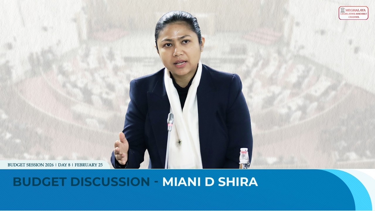 Budget Discussion - Miani D Shira