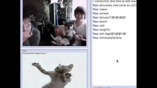 Darwin with Chat Roulette 2 Kopie