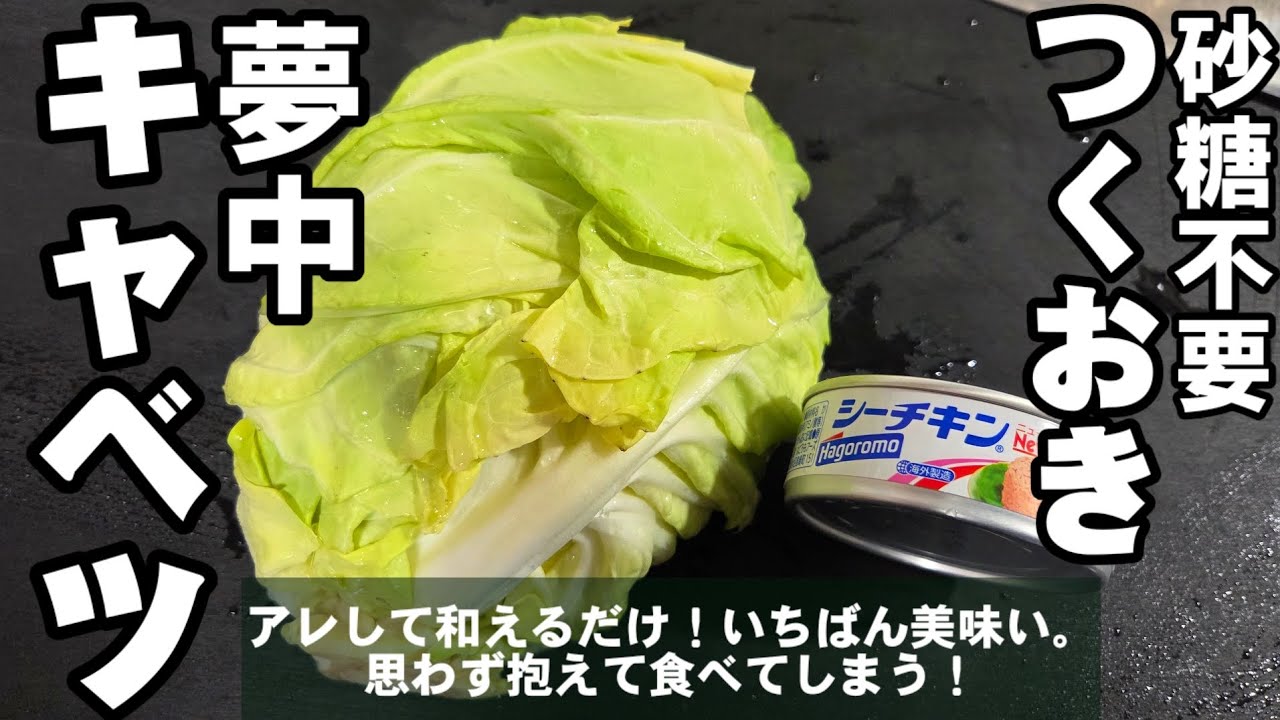 春キャベツとツナ缶のやみつきキャベツのレシピ（ちゃらりんこクック 