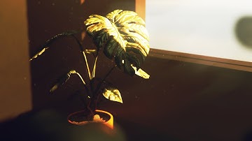 Modeling and Texturing a Monstera Plant in Blender and Substance Painter - [TIMELAPSE]