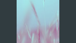 Carefree Calm Spirits